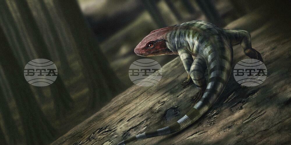 Oldest Reptile Footprints