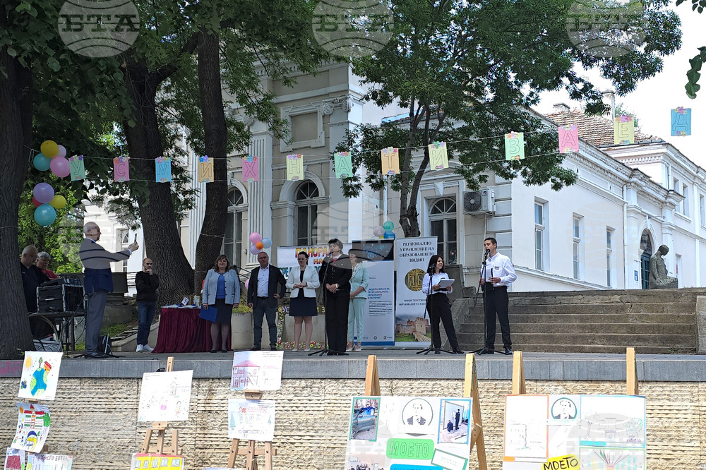 Видин - Панорама на средното образование