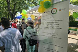 Видин - Панорама на средното образование