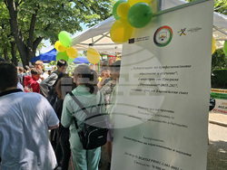 Видин - Панорама на средното образование