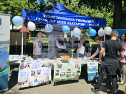 Видин - Панорама на средното образование