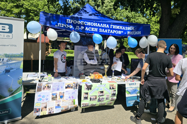 Видин - Панорама на средното образование 