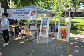 Видин - Панорама на средното образование