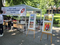 Видин - Панорама на средното образование