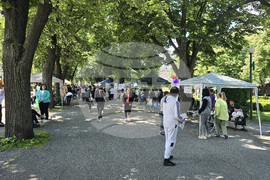 Видин - Панорама на средното образование