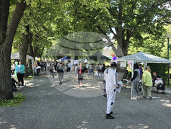 Видин - Панорама на средното образование