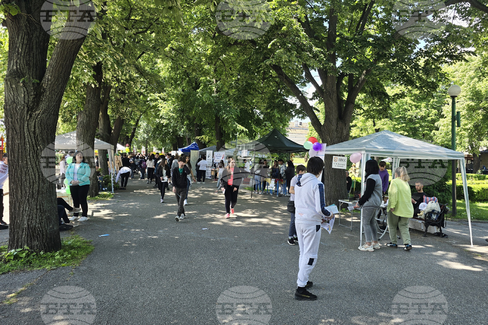 Видин - Панорама на средното образование
