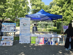 Видин - Панорама на средното образование