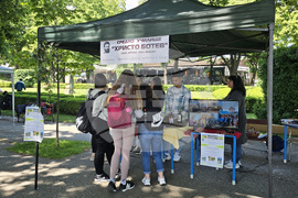 Видин - Панорама на средното образование