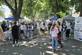 Видин - Панорама на средното образование