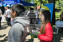 Видин - Панорама на средното образование