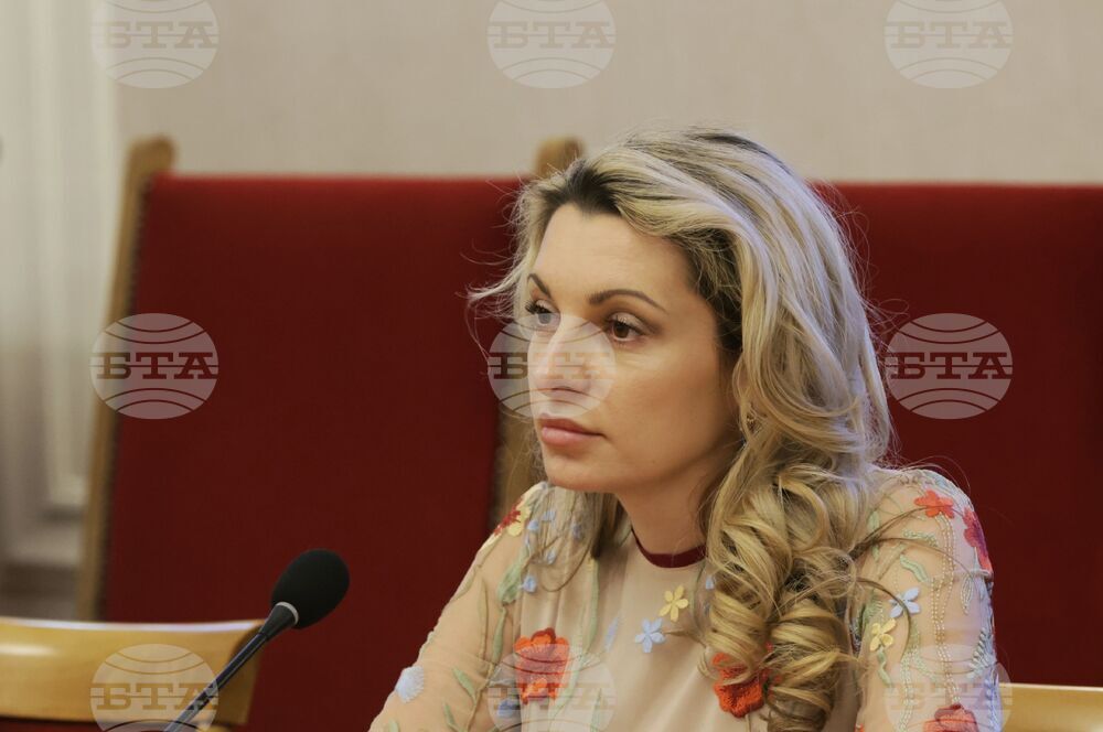 Либерализацията на пазара на ток за домакинствата се отлага за неопределено време, прие Комисията по енергетика