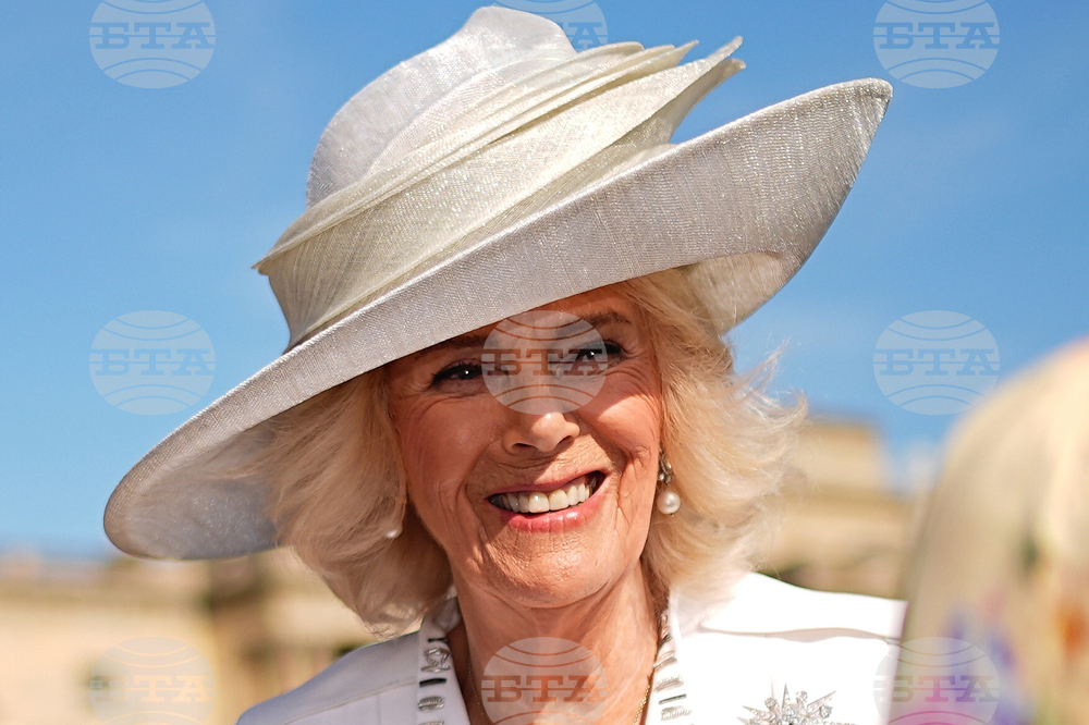 Britain Royals