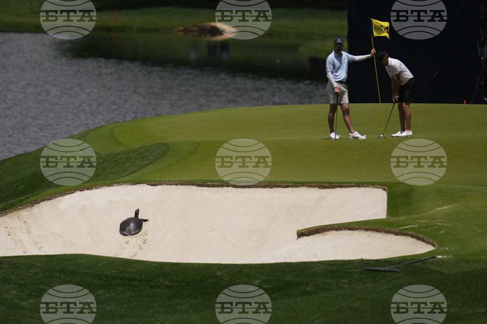 PGA Championship Golf