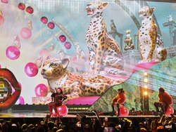 Switzerland Eurovision Song Contest