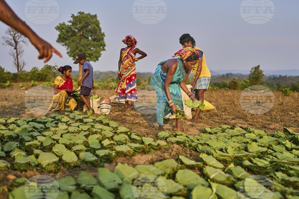 India Indigenous Women Farmers