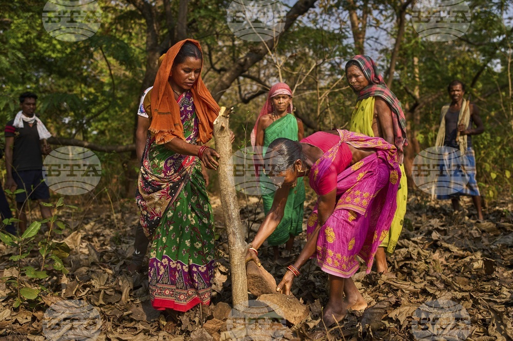 India Indigenous Women Farmers