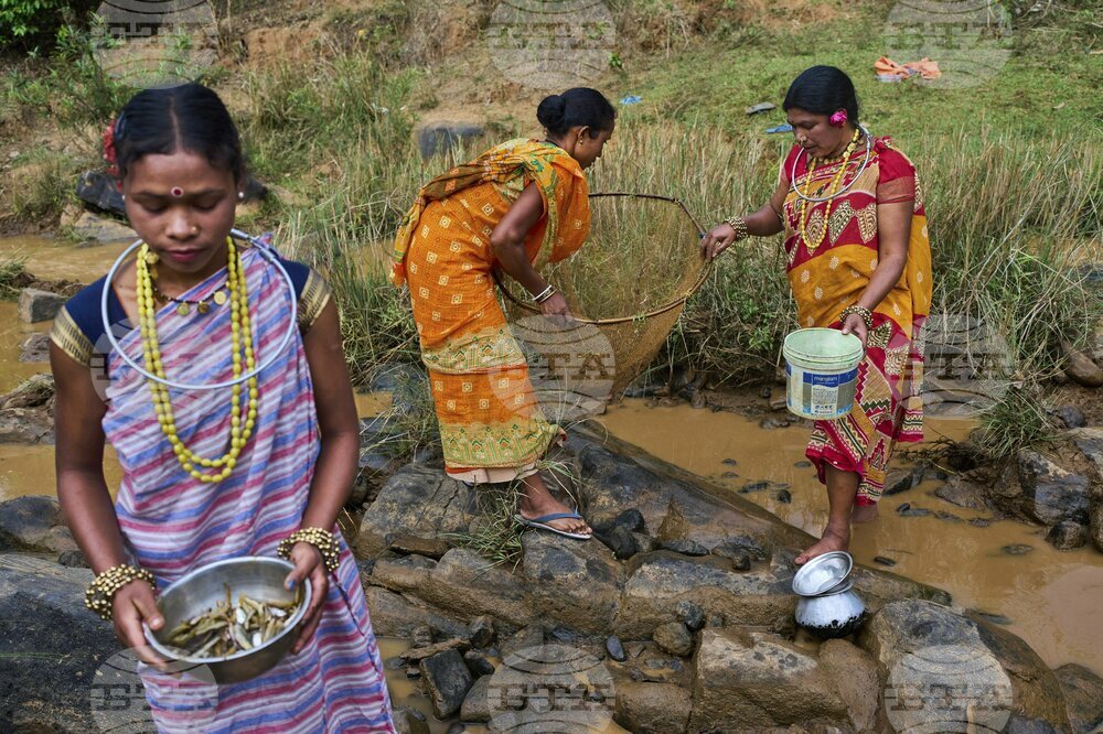 India Indigenous Women Farmers