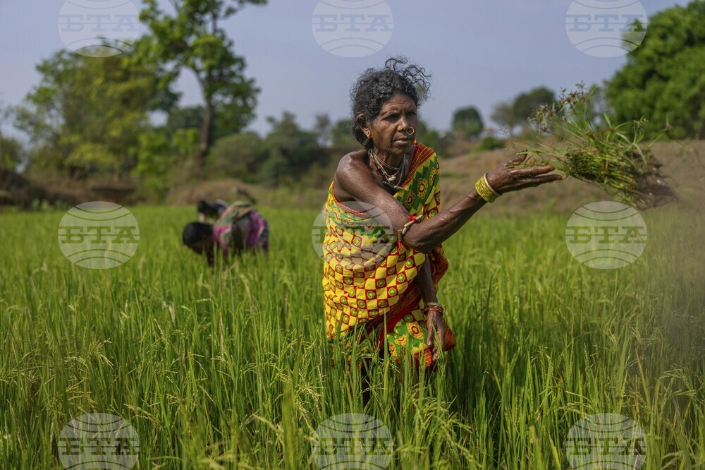India Indigenous Women Farmers