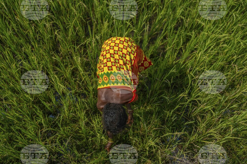 India Indigenous Women Farmers