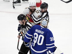 Panthers Maple Leafs Hockey