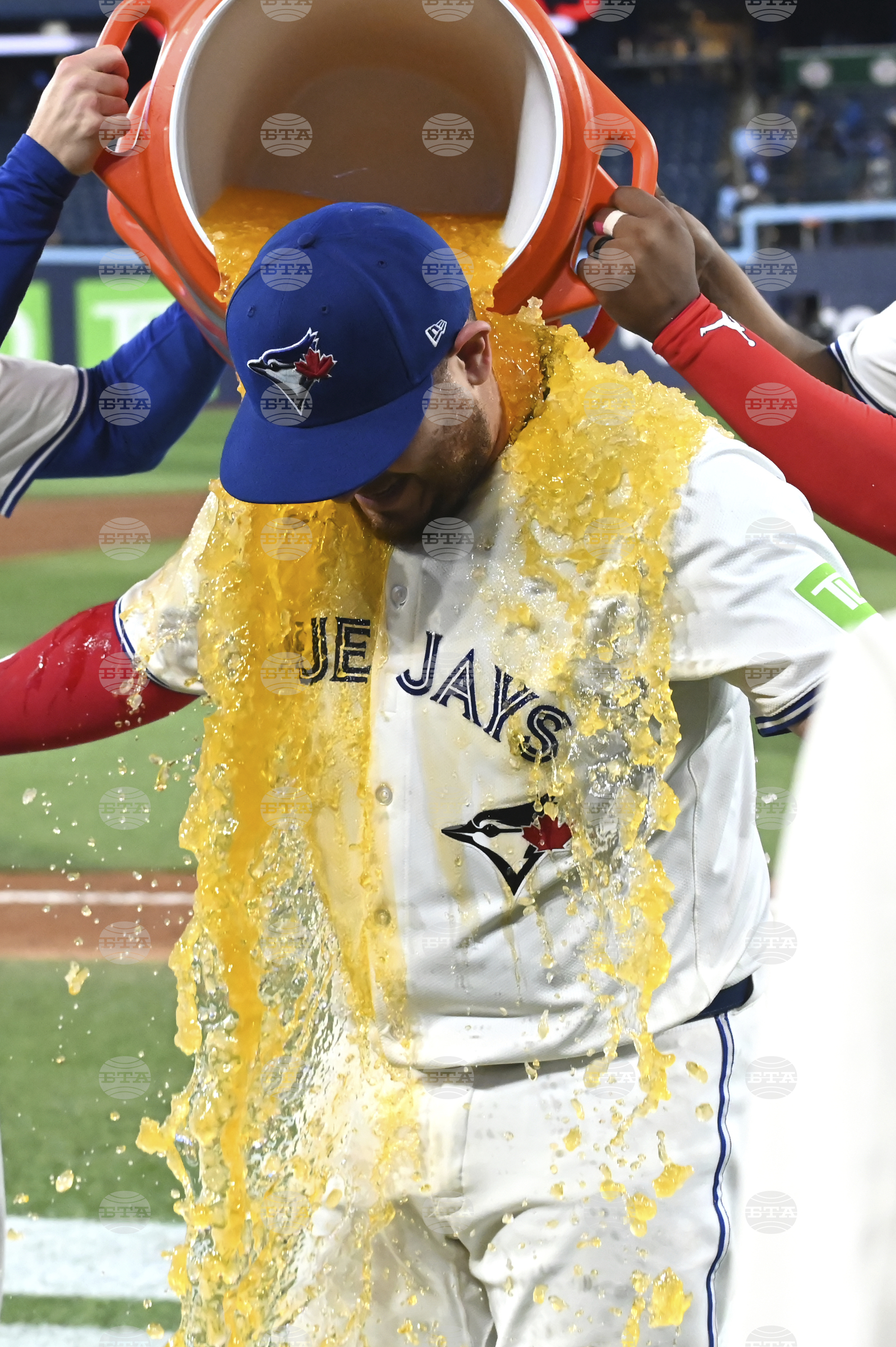 Rays Blue Jays Hockey