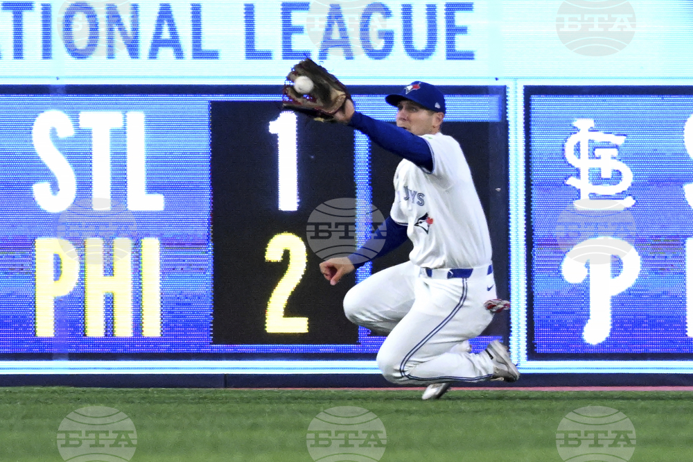 Rays Blue Jays Baseball