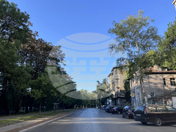 Градски транспорт - улица - трафик