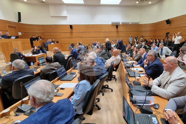 Общинският съвет в Пловдив ще гласува приемането на план за развитие на зоопарка в града през следващите 10 години