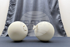 Ловеч - Владимир Ванков - изложба