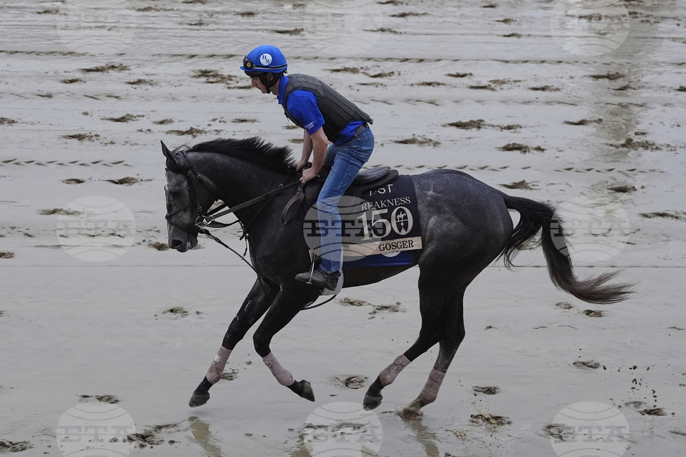 Preakness Horse Racing