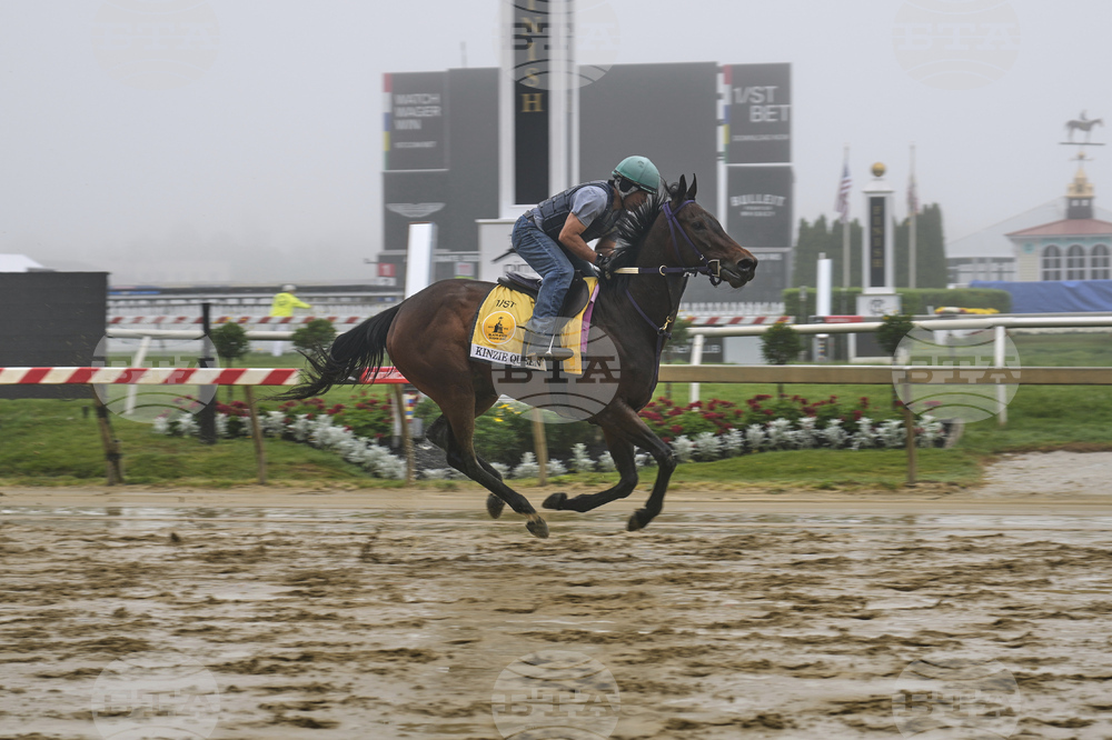 Preakness Horse Racing
