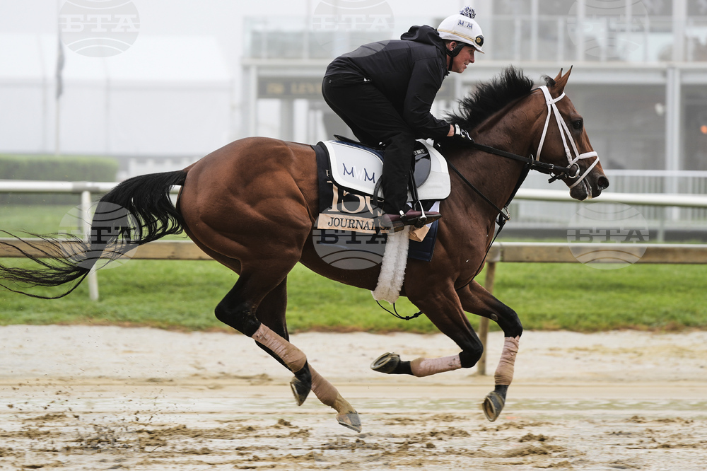 Preakness Horse Racing