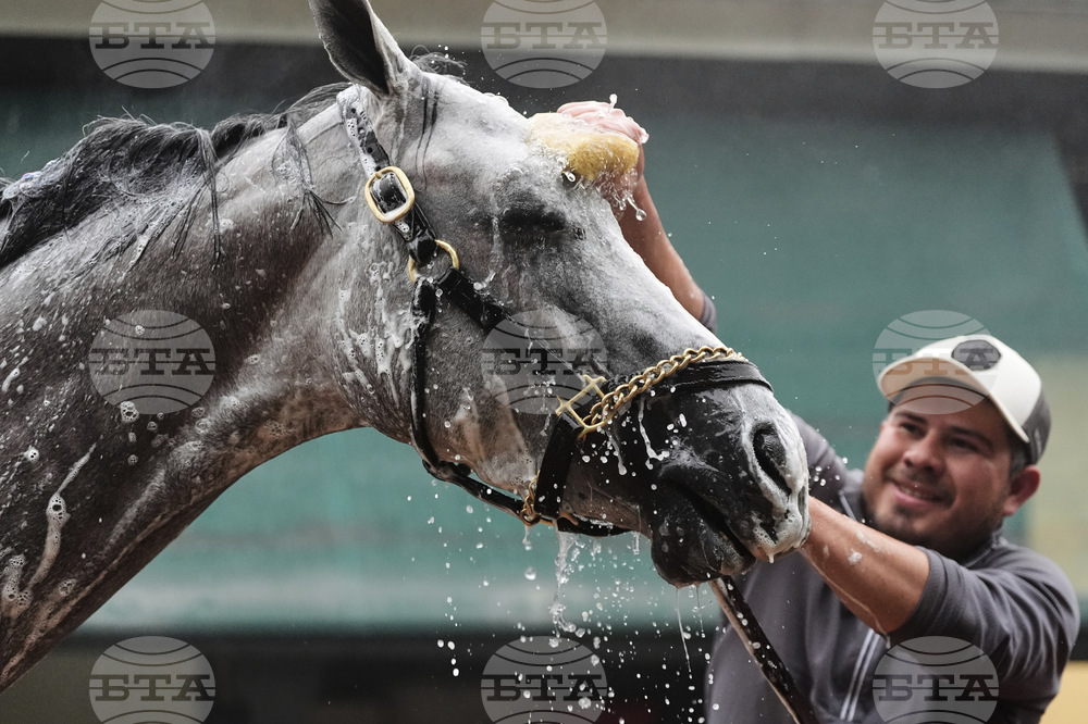 Preakness Horse Racing