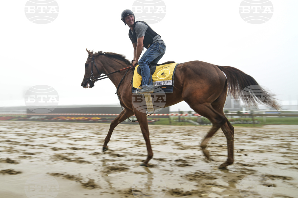 Preakness Horse Racing