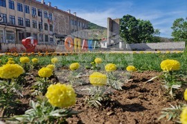 Опака – пролетен изглед