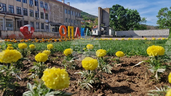 В Опака избират Временна комисия за изготвяне на Етичен кодекс на общинските съветници