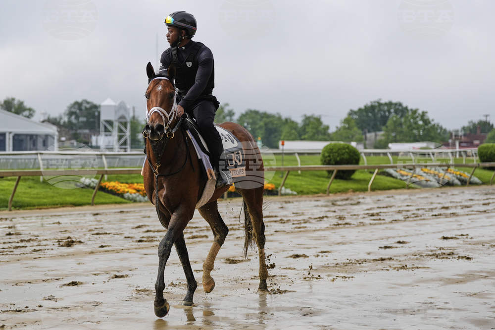 Preakness Horse Racing