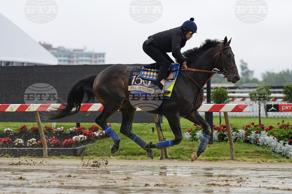 Preakness Horse Racing