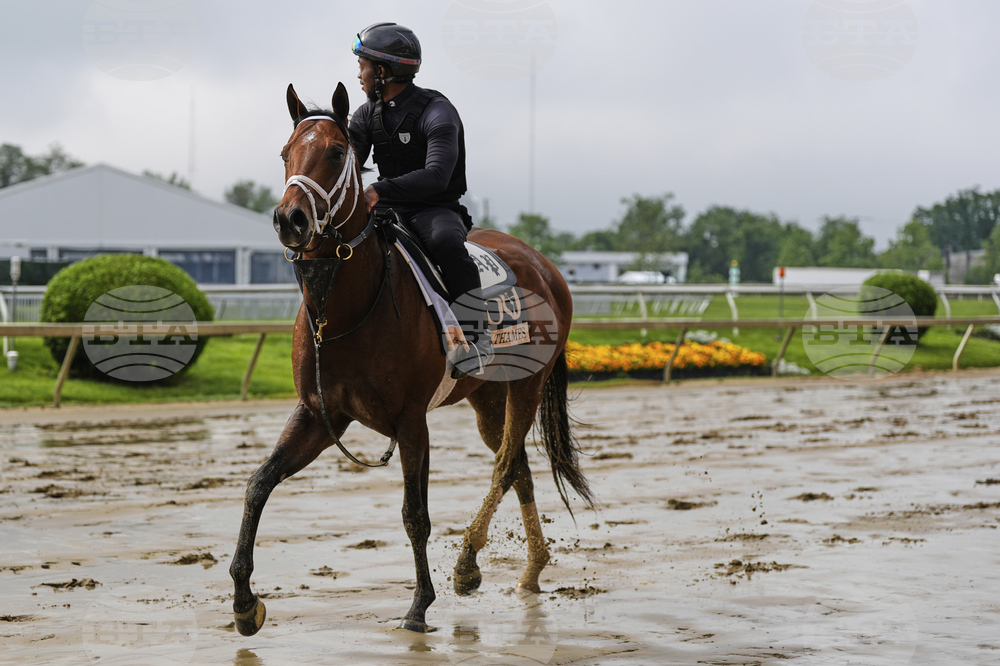 Preakness Horse Racing