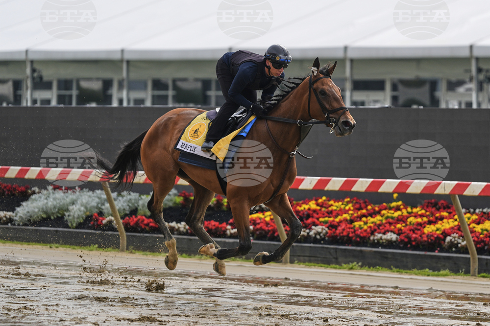 Preakness Horse Racing