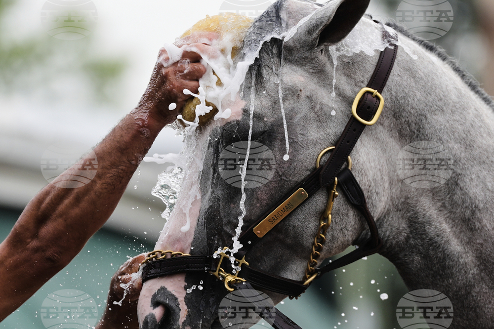 Preakness Horse Racing
