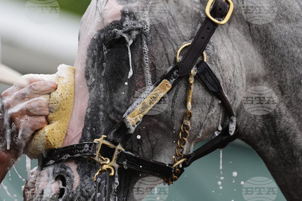 Preakness Horse Racing