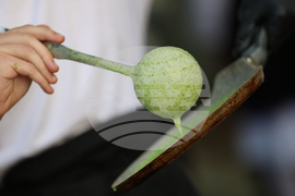 Благоевград - Панорама на училищата