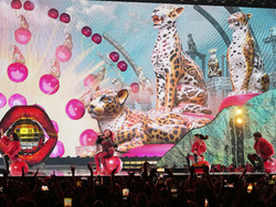 Switzerland Eurovision Song Contest