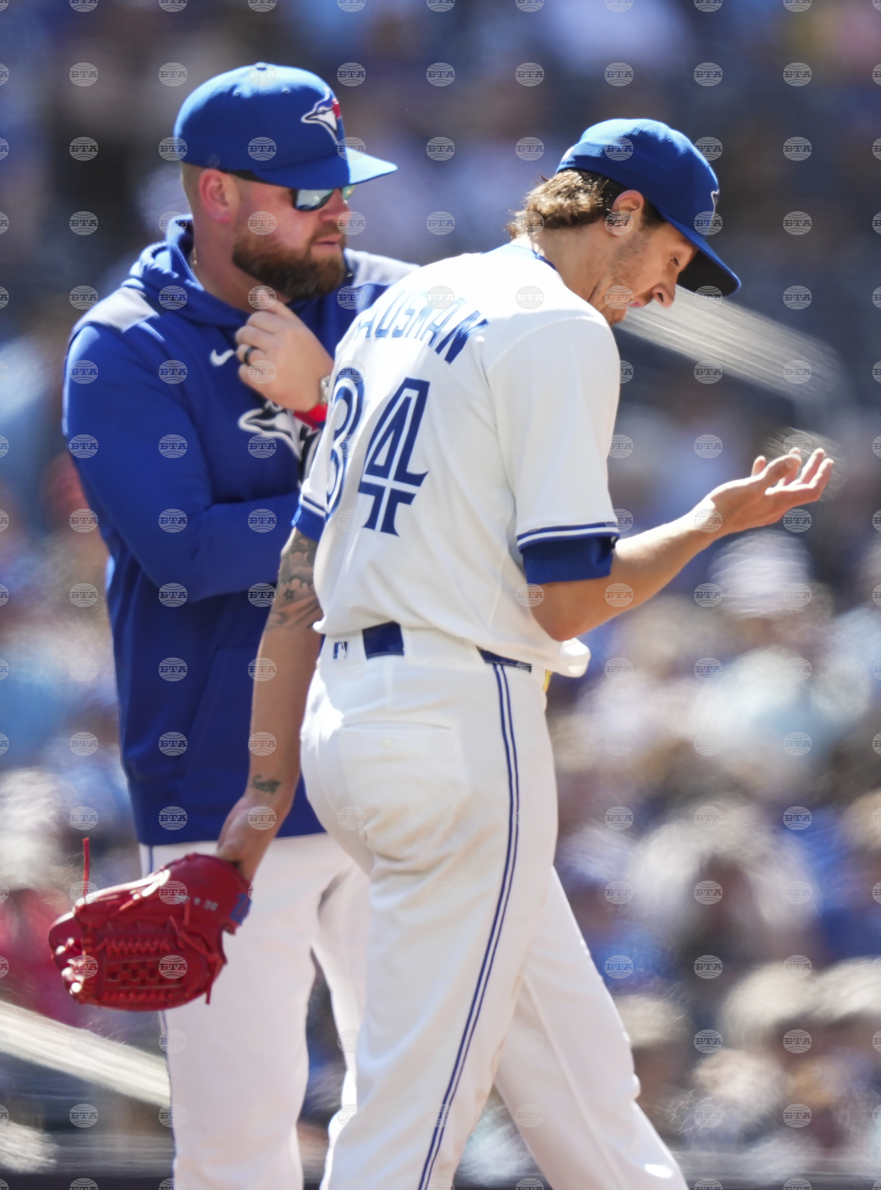 Rays Blue Jays Baseball
