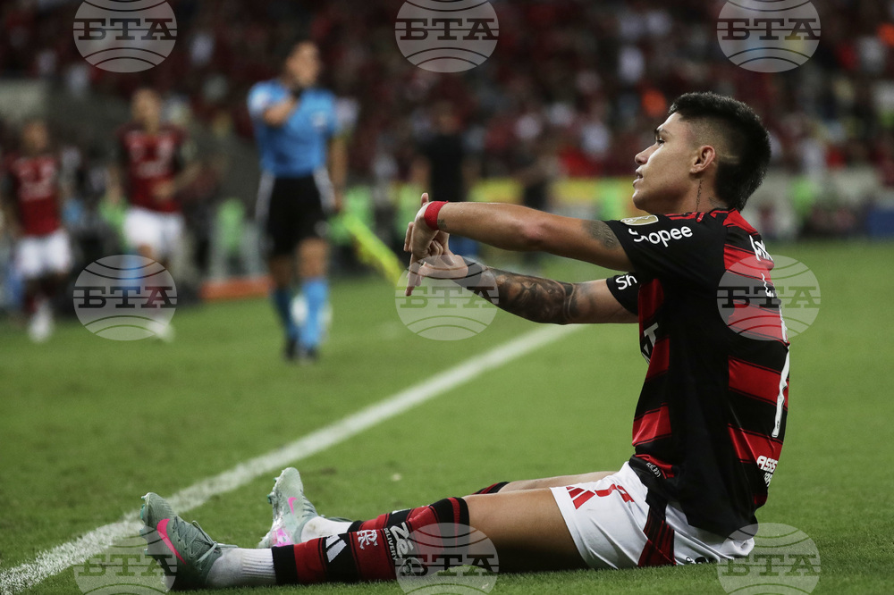 Brazil Ecuador Soccer Copa Libertadores