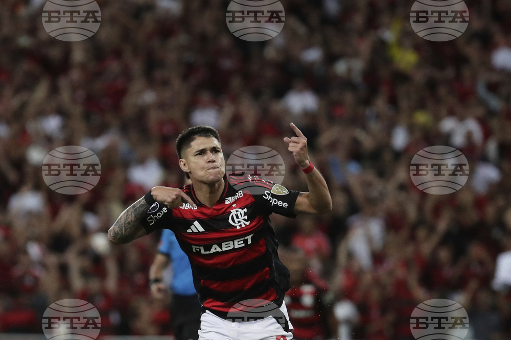 Brazil Ecuador Soccer Copa Libertadores