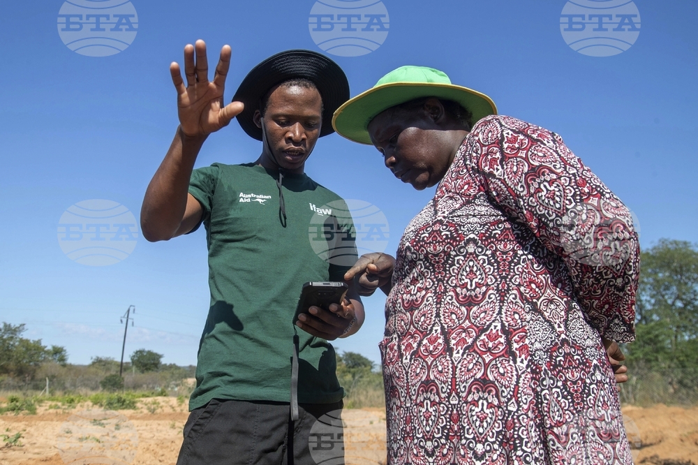 Zimbabwe Elephant Crisis