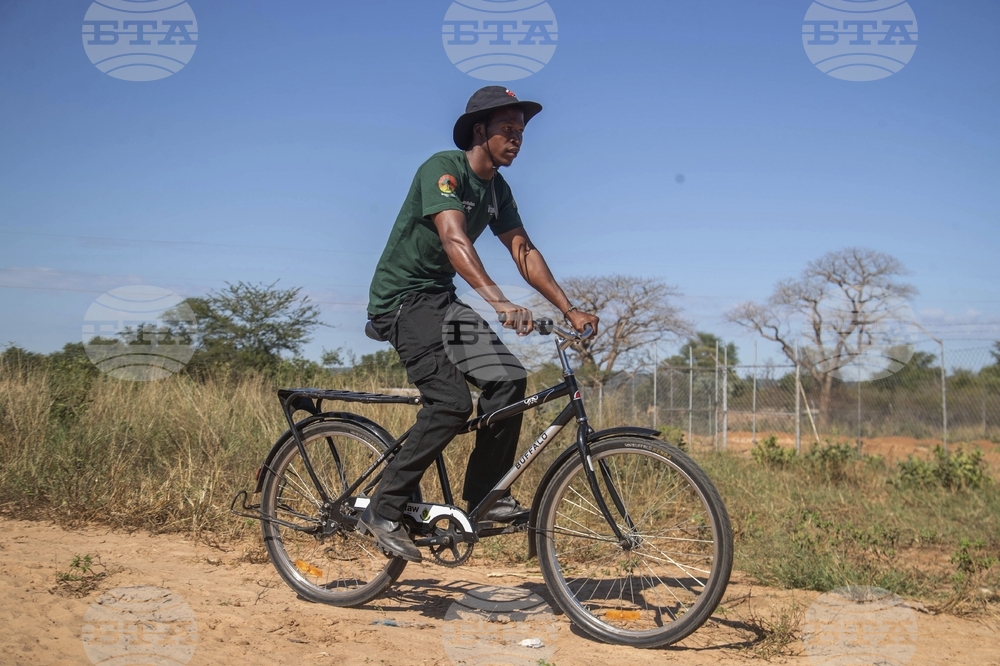 Zimbabwe Elephant Crisis